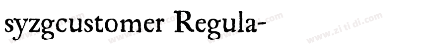 syzgcustomer Regula字体转换